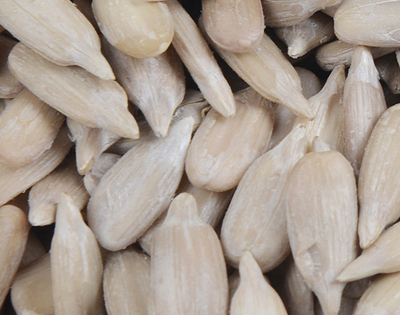 Sunflower seed kernels