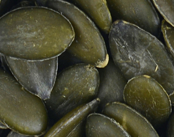 GWS pumpkin seed kernels