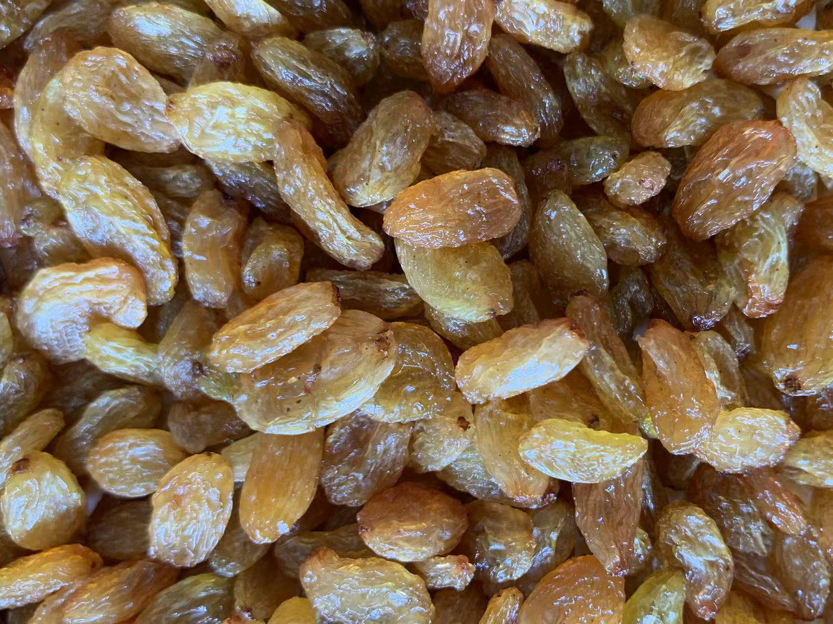 Golden Raisin