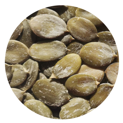 SNOW WHITE PUMPKIN SEED KERNELS