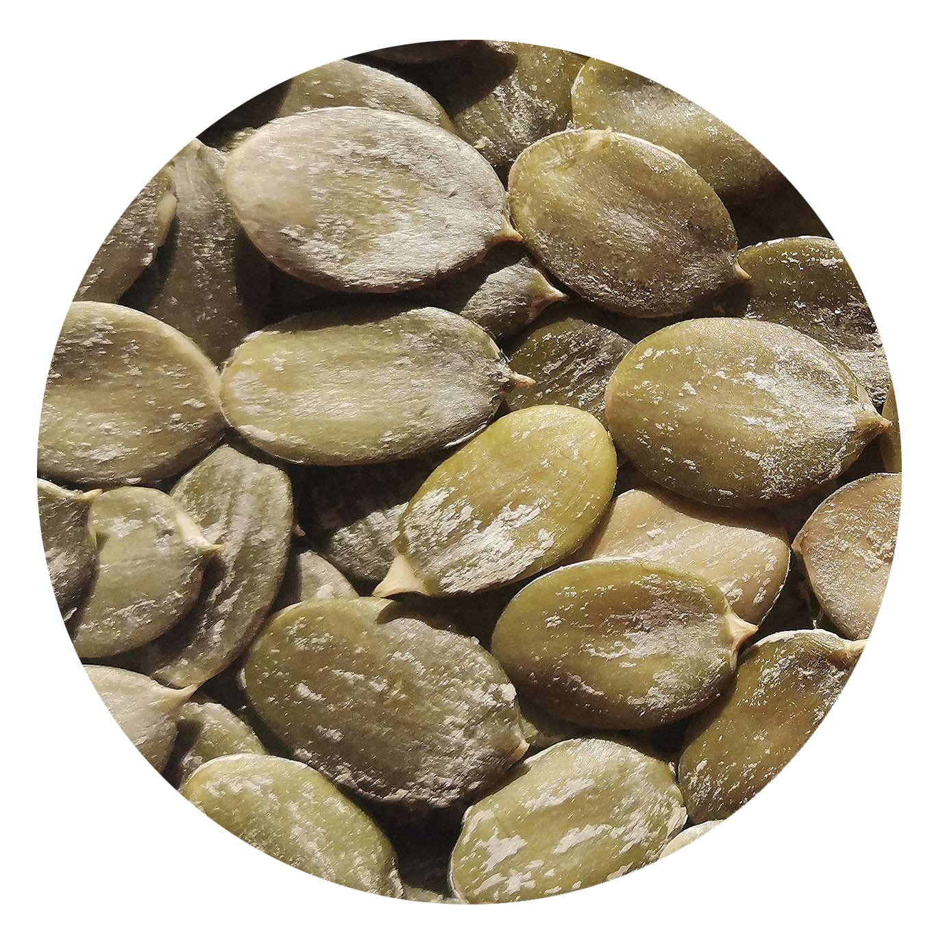 SNOW WHITE PUMPKIN SEED KERNELS