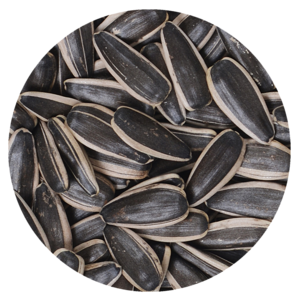 SUNFLOWER SEEDS
