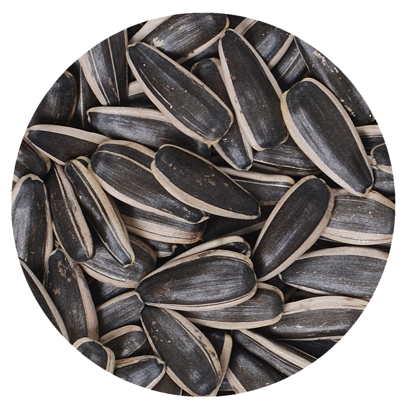 SUNFLOWER SEEDS