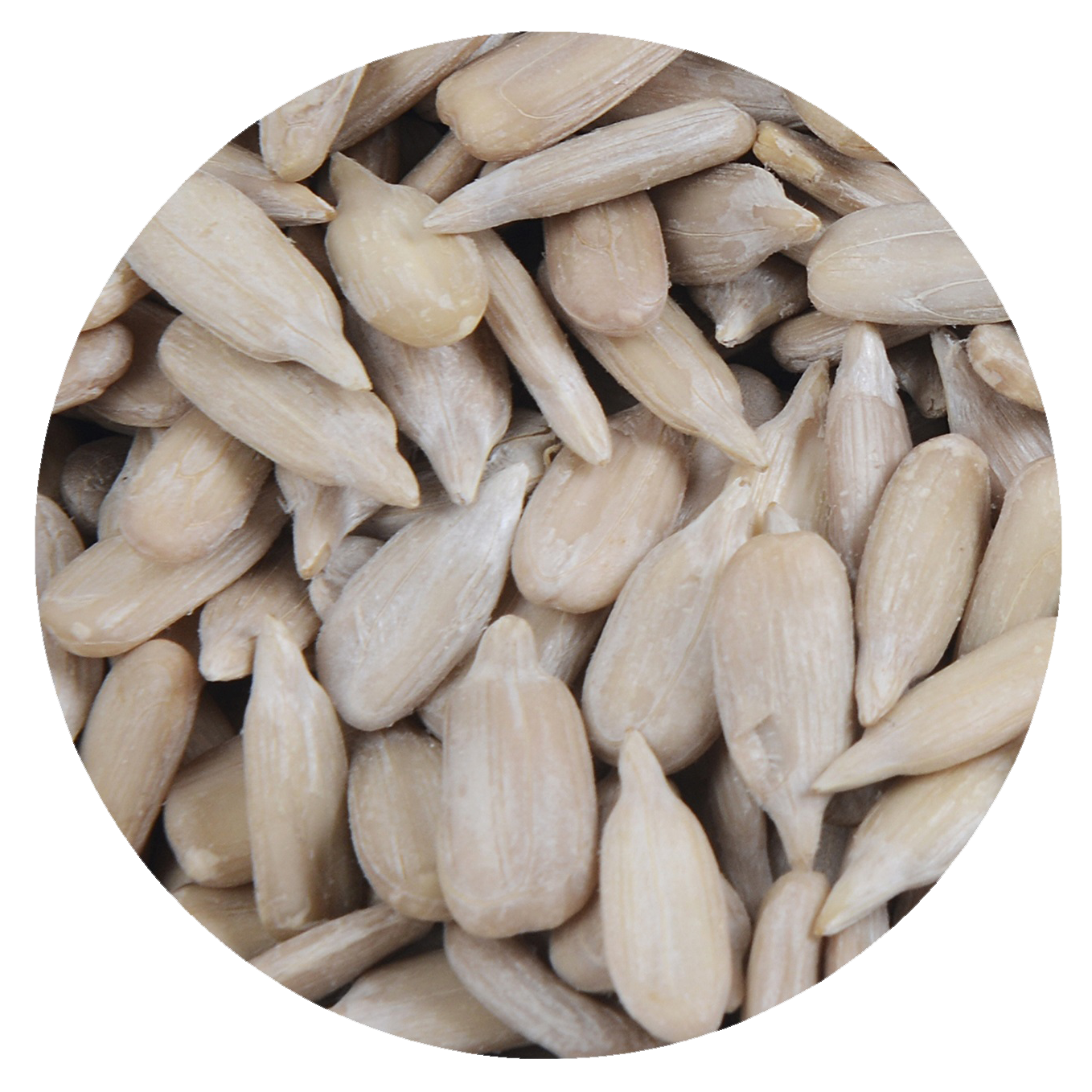 sunflower seed kernels