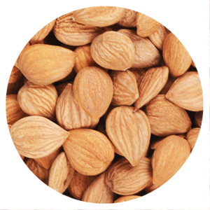 杏仁