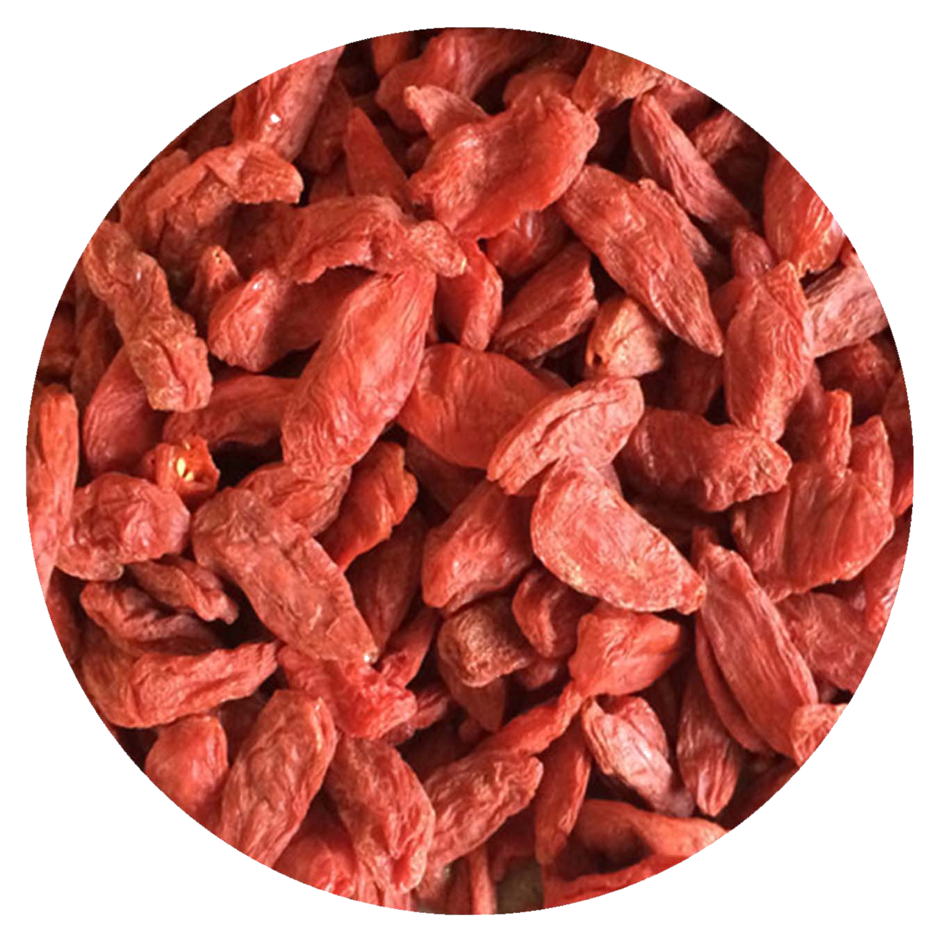Goqi