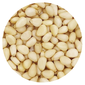 Pumila pinenut kernels