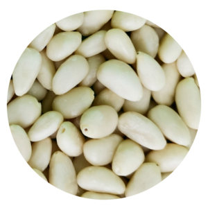 Cedar Pinenut kernels