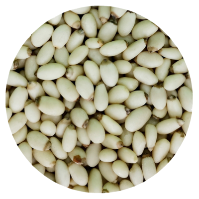 Yunnan pinenut kernels
